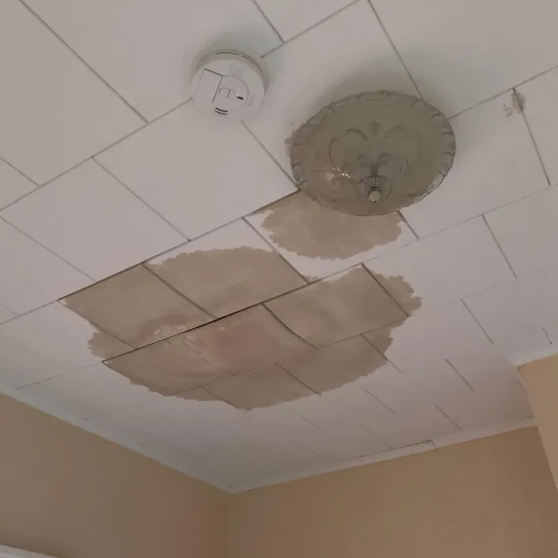 Ceiling Water Damage Repair in Kemper County, MS