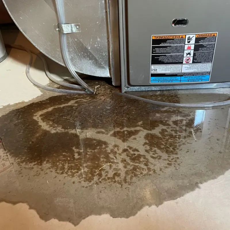 Pipe Burst and Leak Restoration in Kemper County, MS