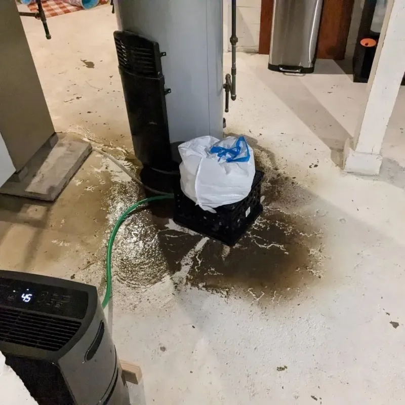 Sewage Backup Cleanup Service in Kemper County, MS